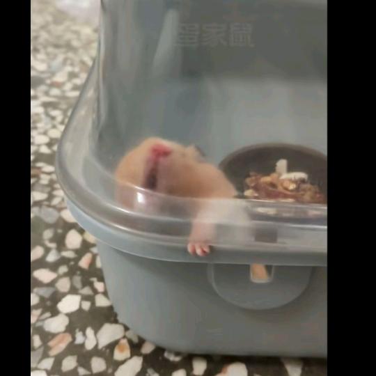 心情好😊（上学中）