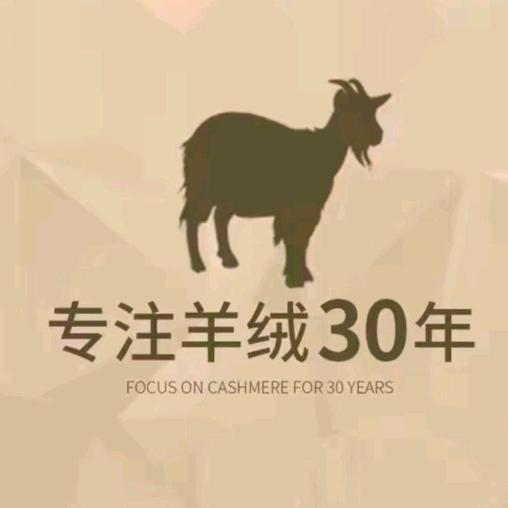 鄂尔多斯市洋洋女装