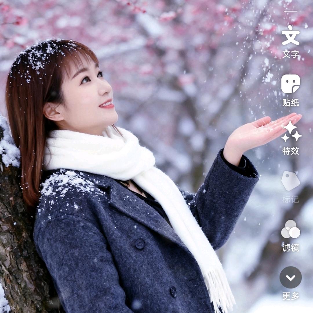 飞🍎雪