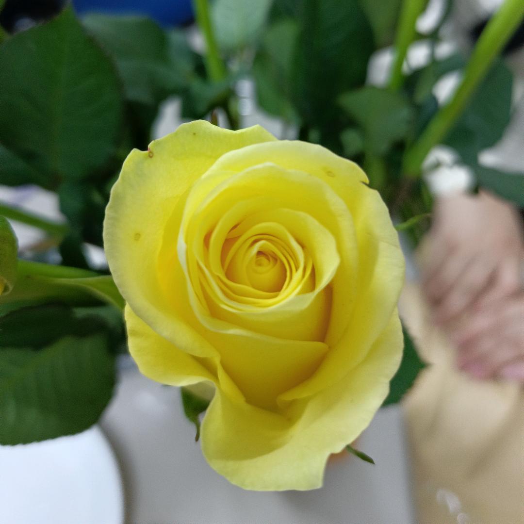 🇨🇳冬天的鱼🇨🇳