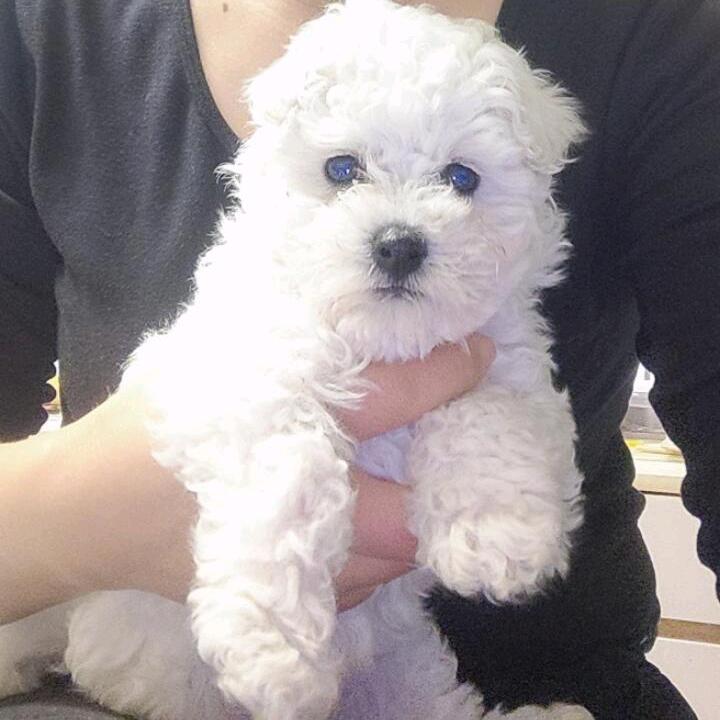 鑫诺生活用品馆