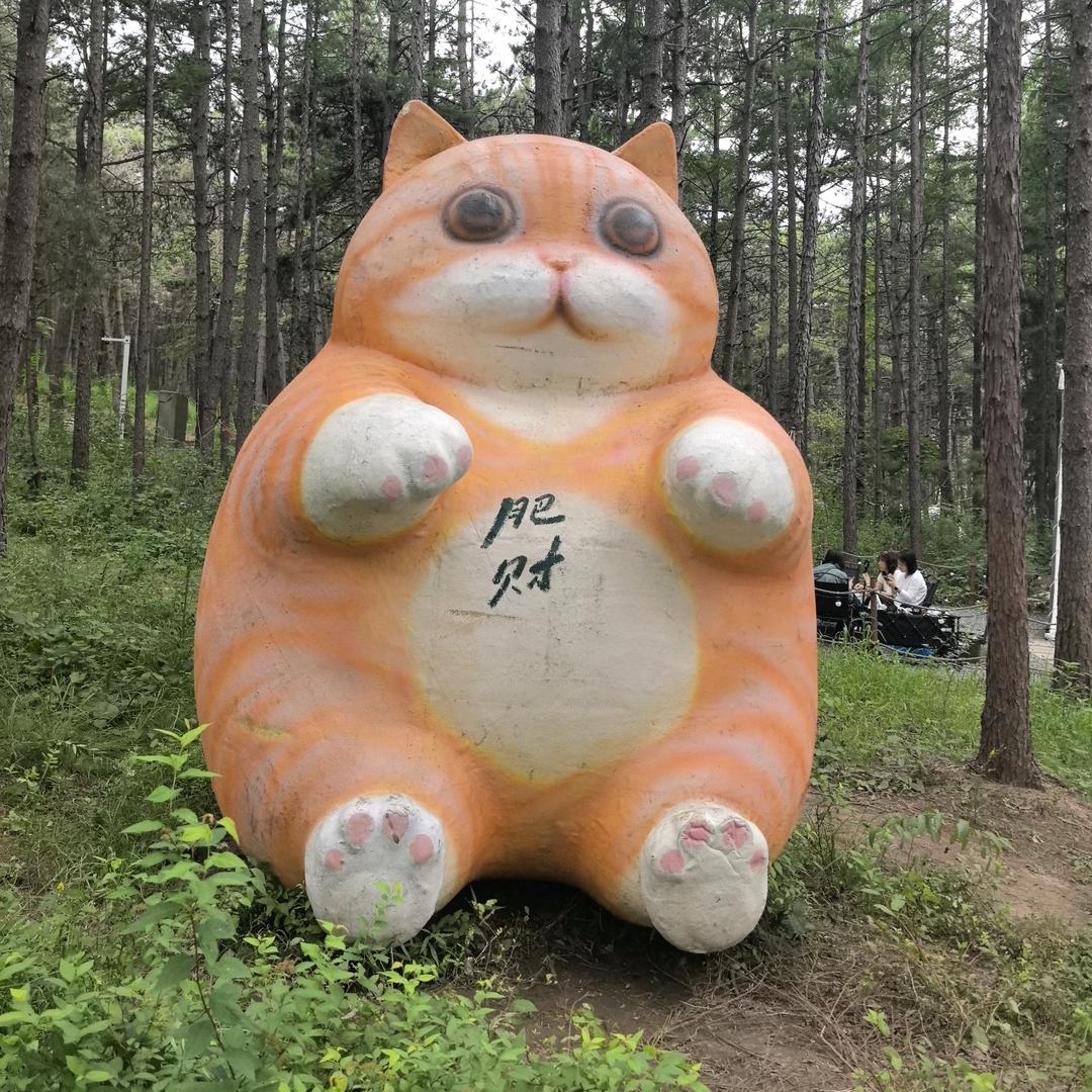 好火