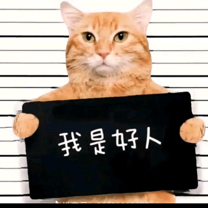 ゛印第安老斑鸠ゝ