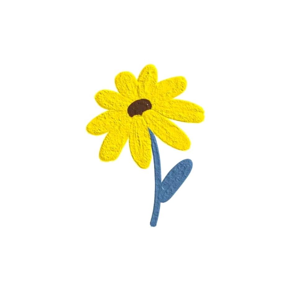 花花二号