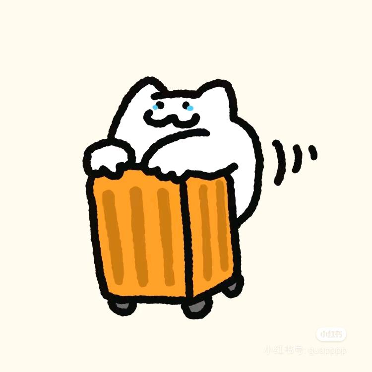 王某人（X）