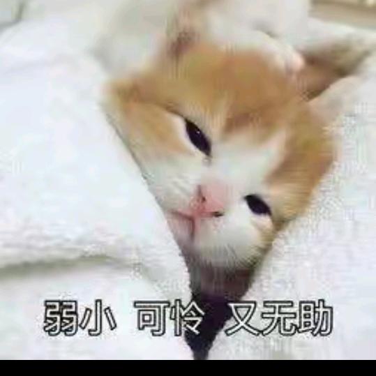 💞᭄真爱一生💞᭄