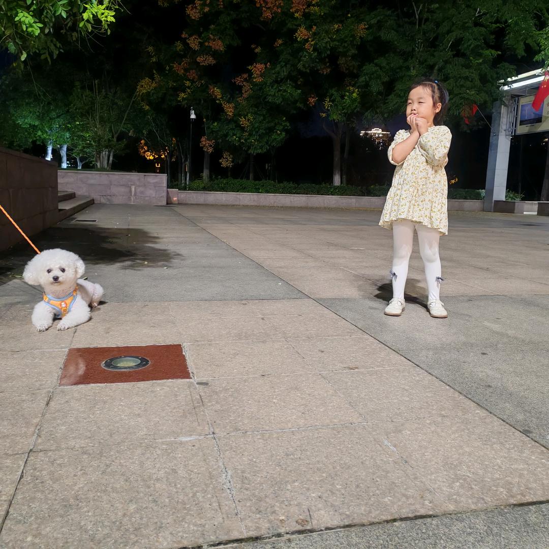 艺
