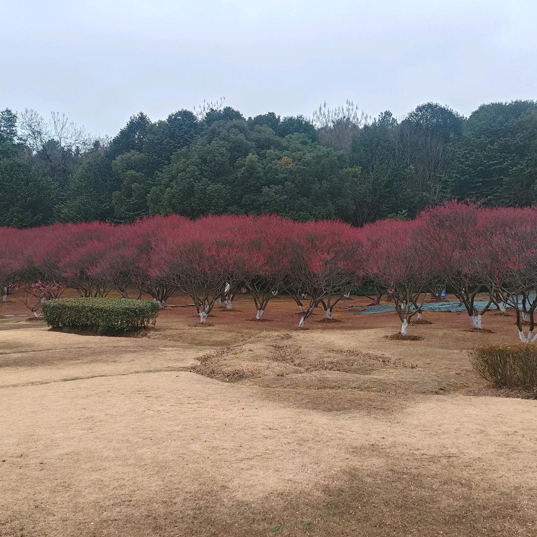 阿源2149