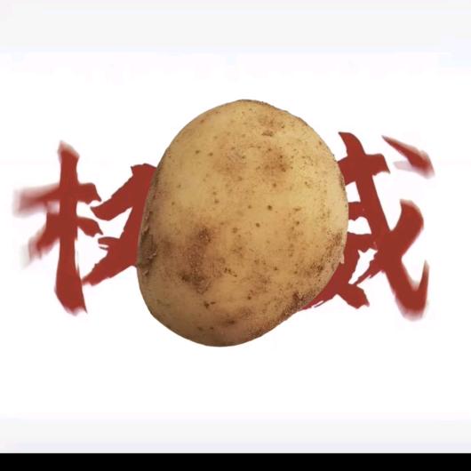 洋芋学长（寒假工）