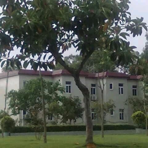 ঞ᭄南风归期꧔ꦿ࿐