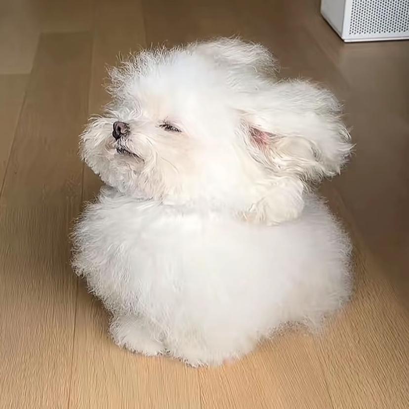 没那么简单💸