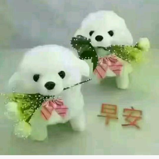 🦊狼爱上羊