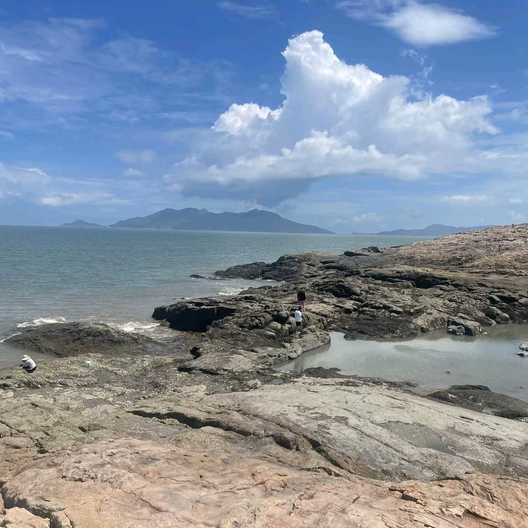 汉武帝重生在柏良干装修🙄