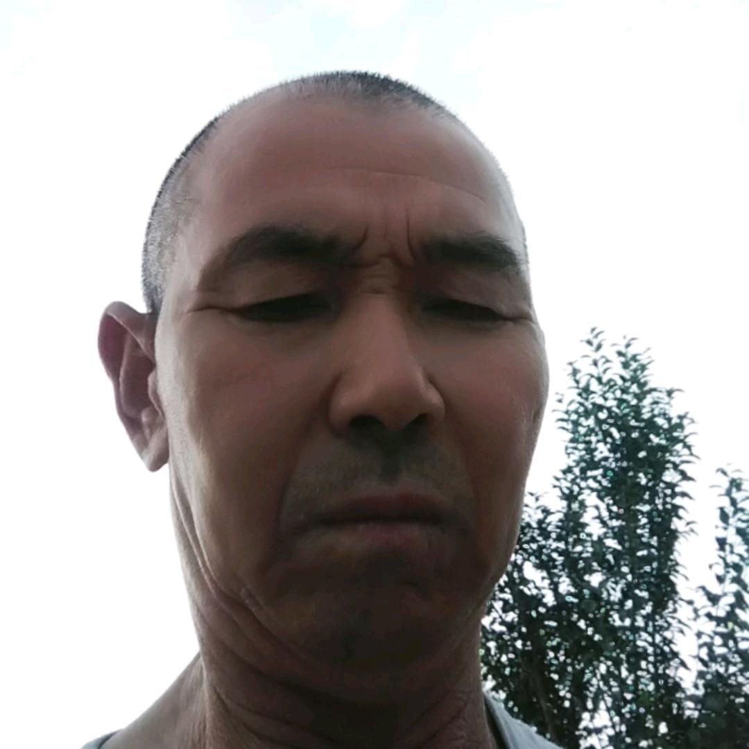 青成志