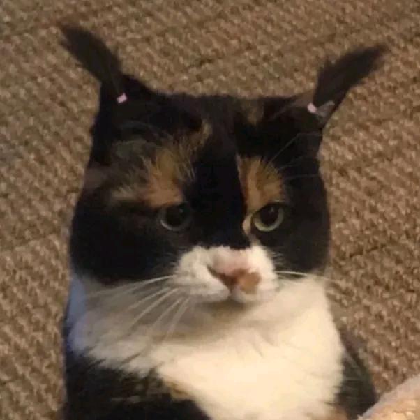 就一破玩手机的