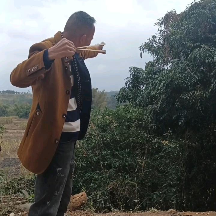 野马