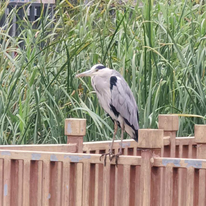 游游人生一场梦