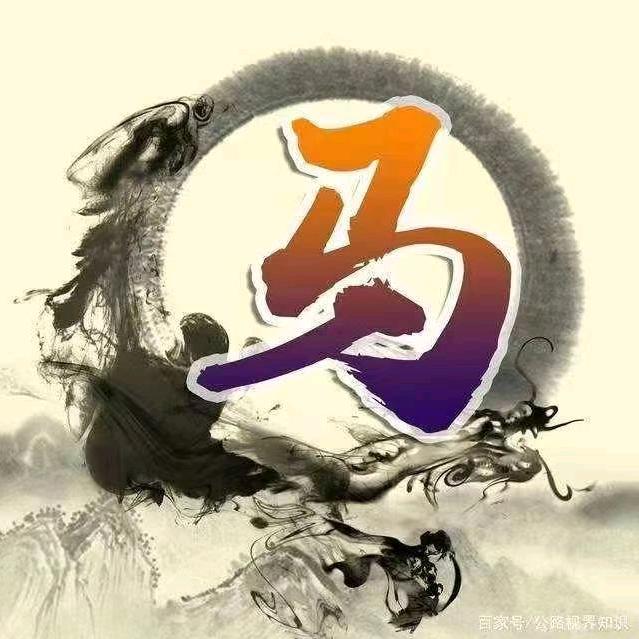 化隆马云龙