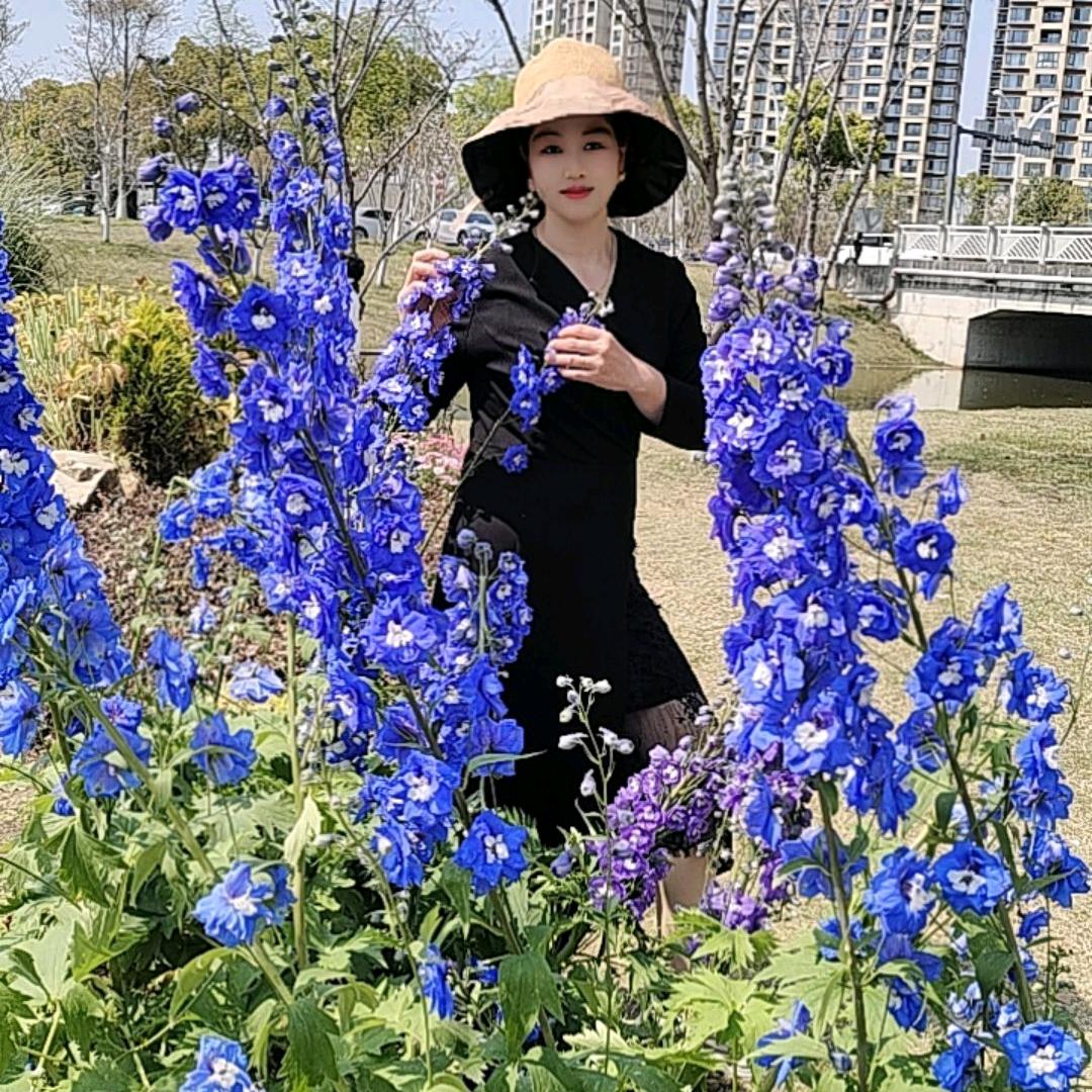 张姐🌸