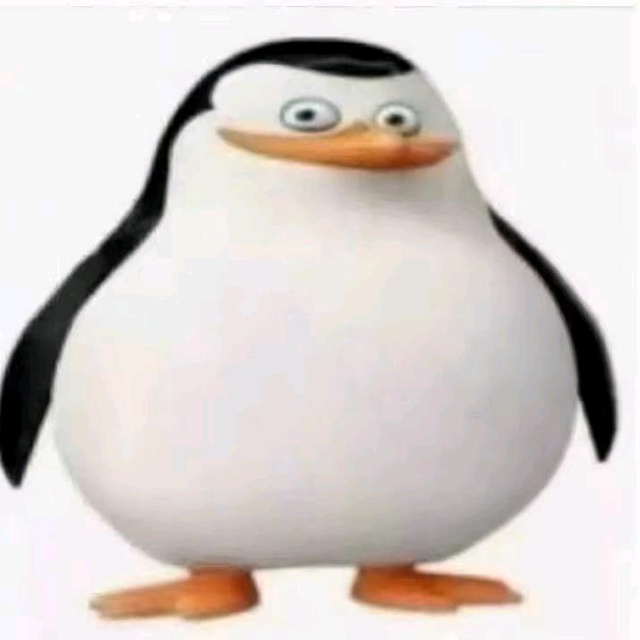 样子