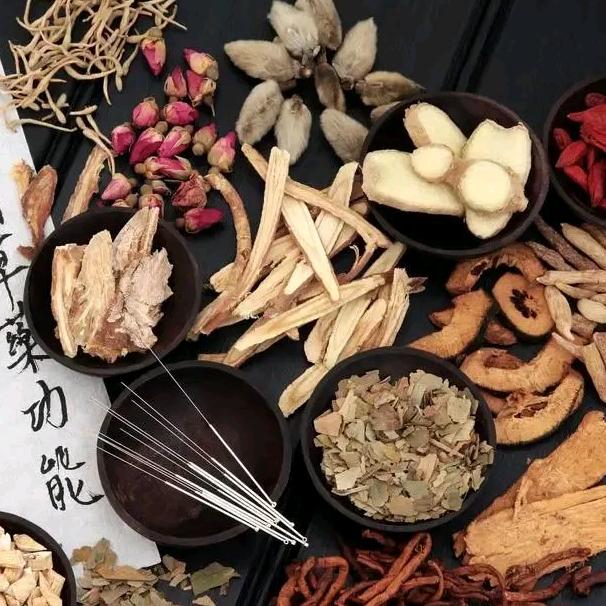 主任健康说