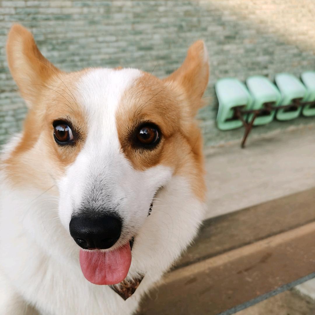 @艳阳天@