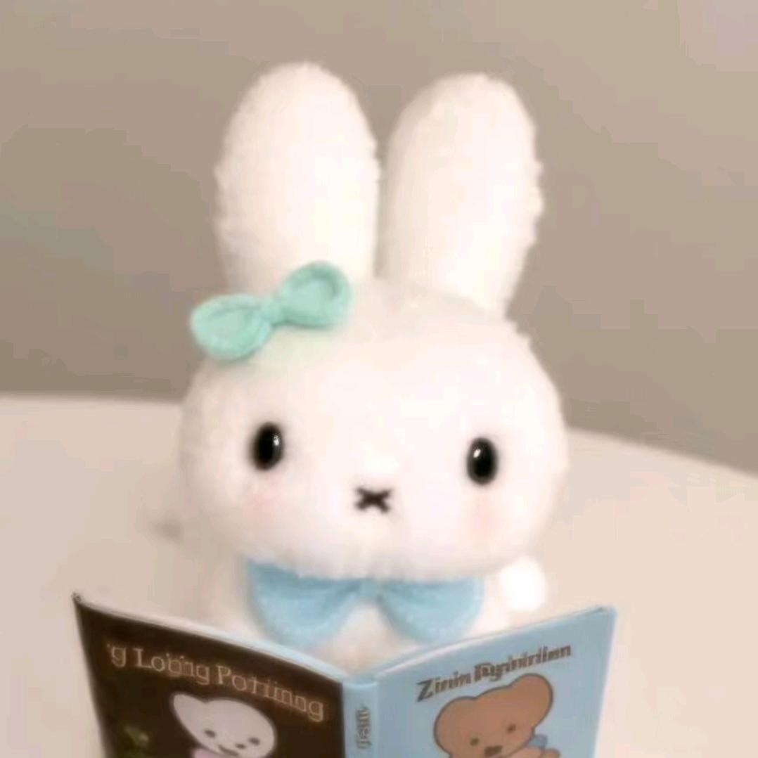 哄哄zhao