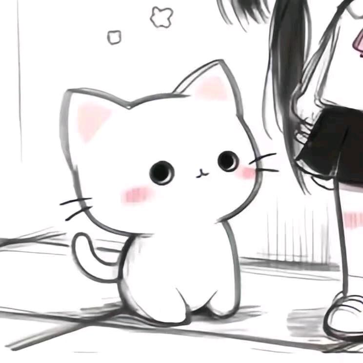 情