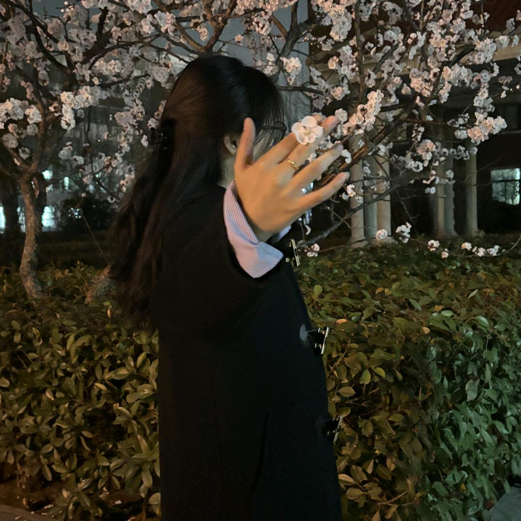 星语心愿