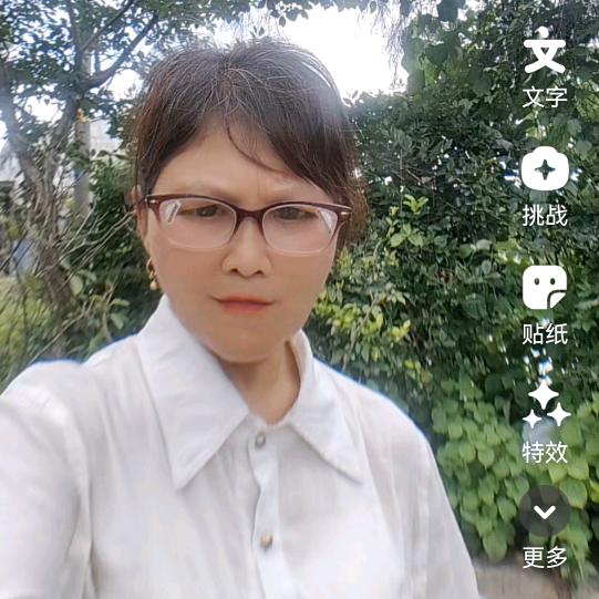 粉玫瑰