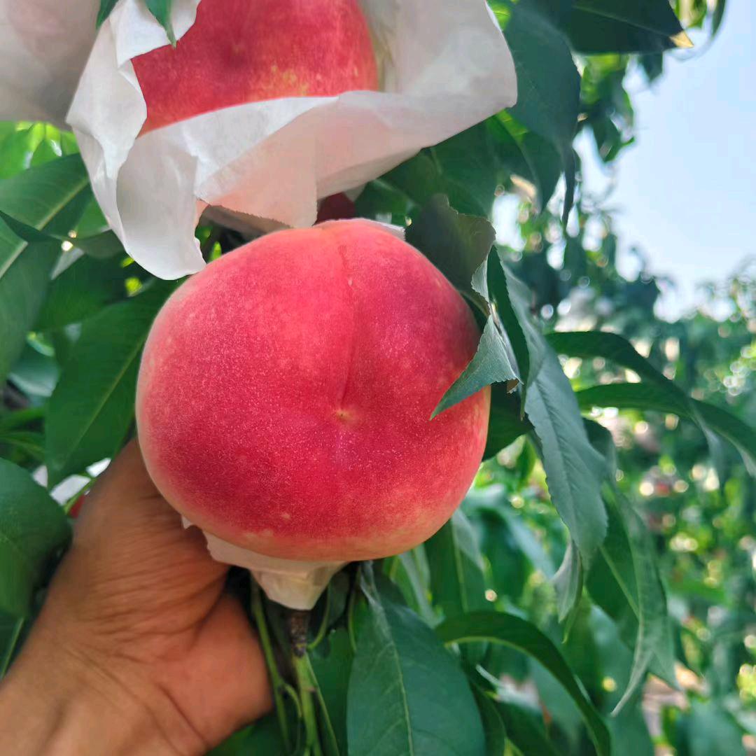 𓂃 𓈒𓏸𑁍情有独钟𓂃 𓈒𓏸