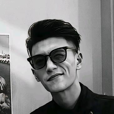 罗总