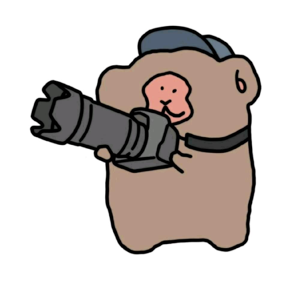 麦当猴🐒