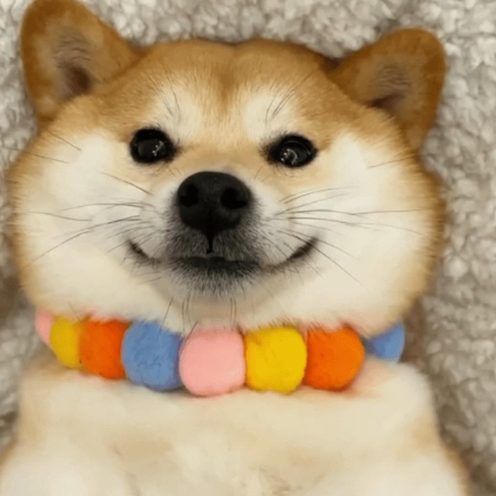 殇