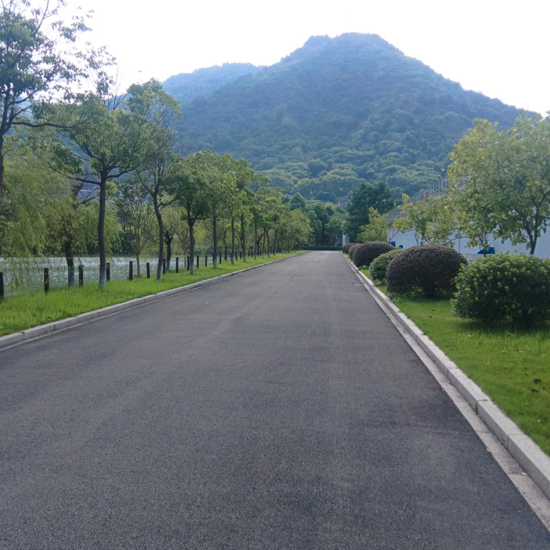 尘世无情