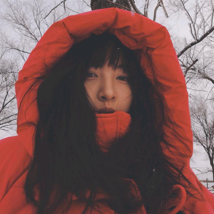 小小智