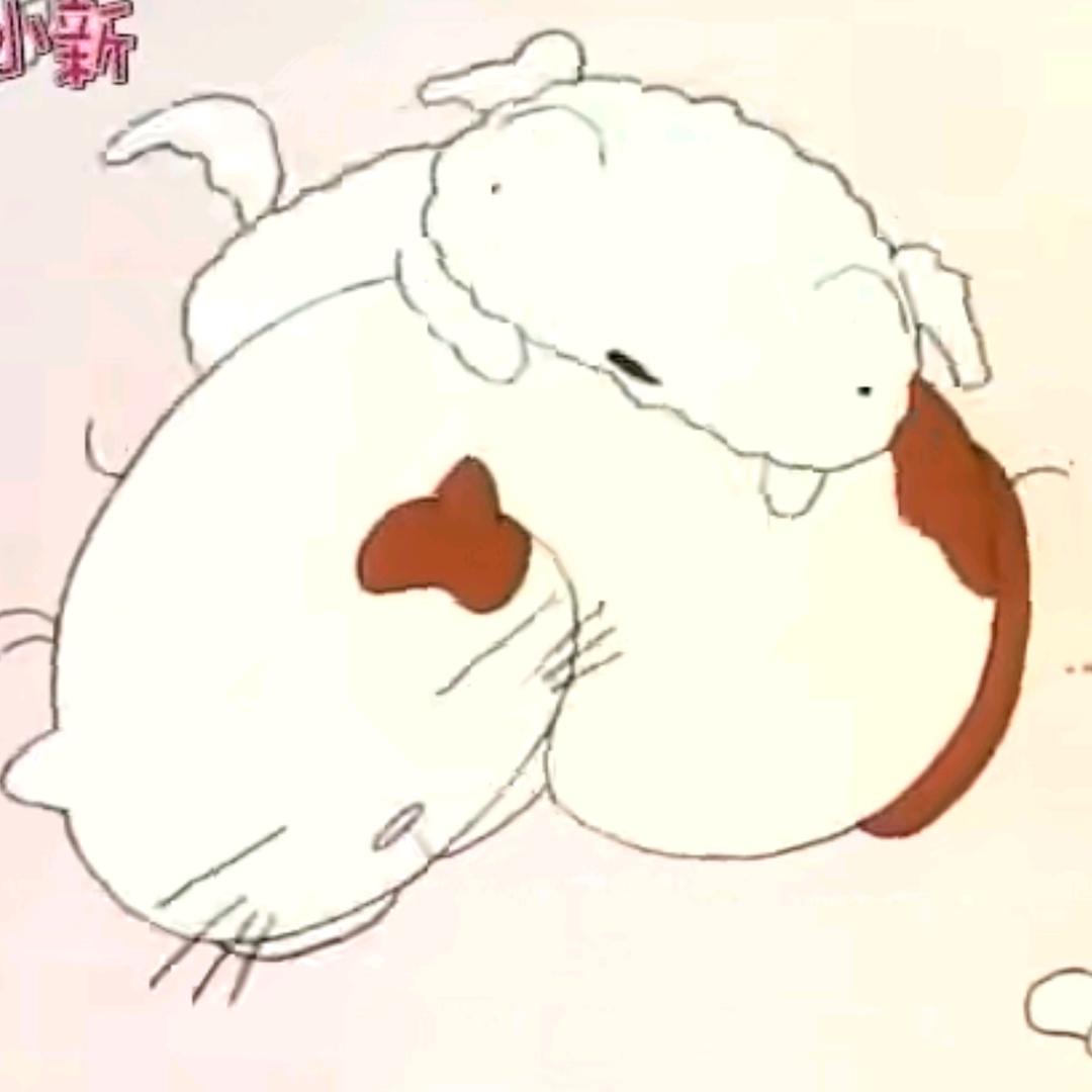 把猫头亲秃
