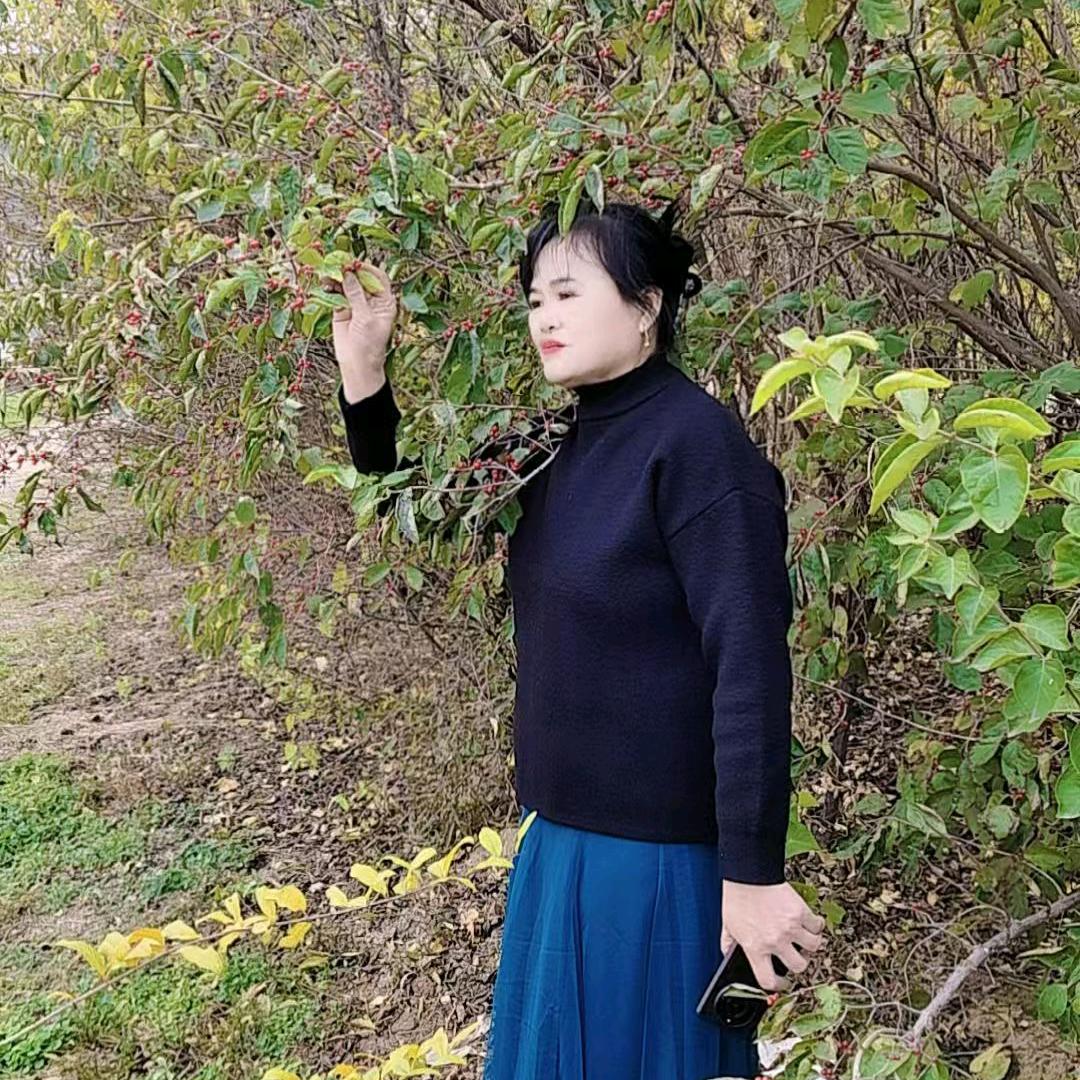陆姐