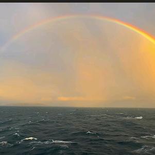 ✺霞光🦐影-♡