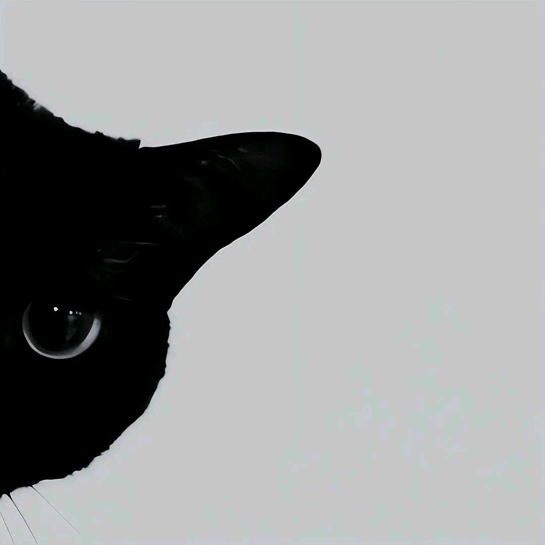 向云游