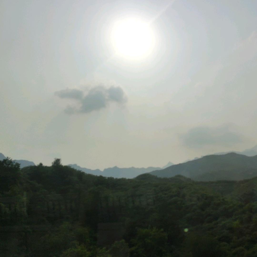 ✨理想✨