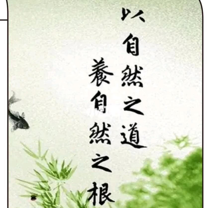 东方生命之光141319