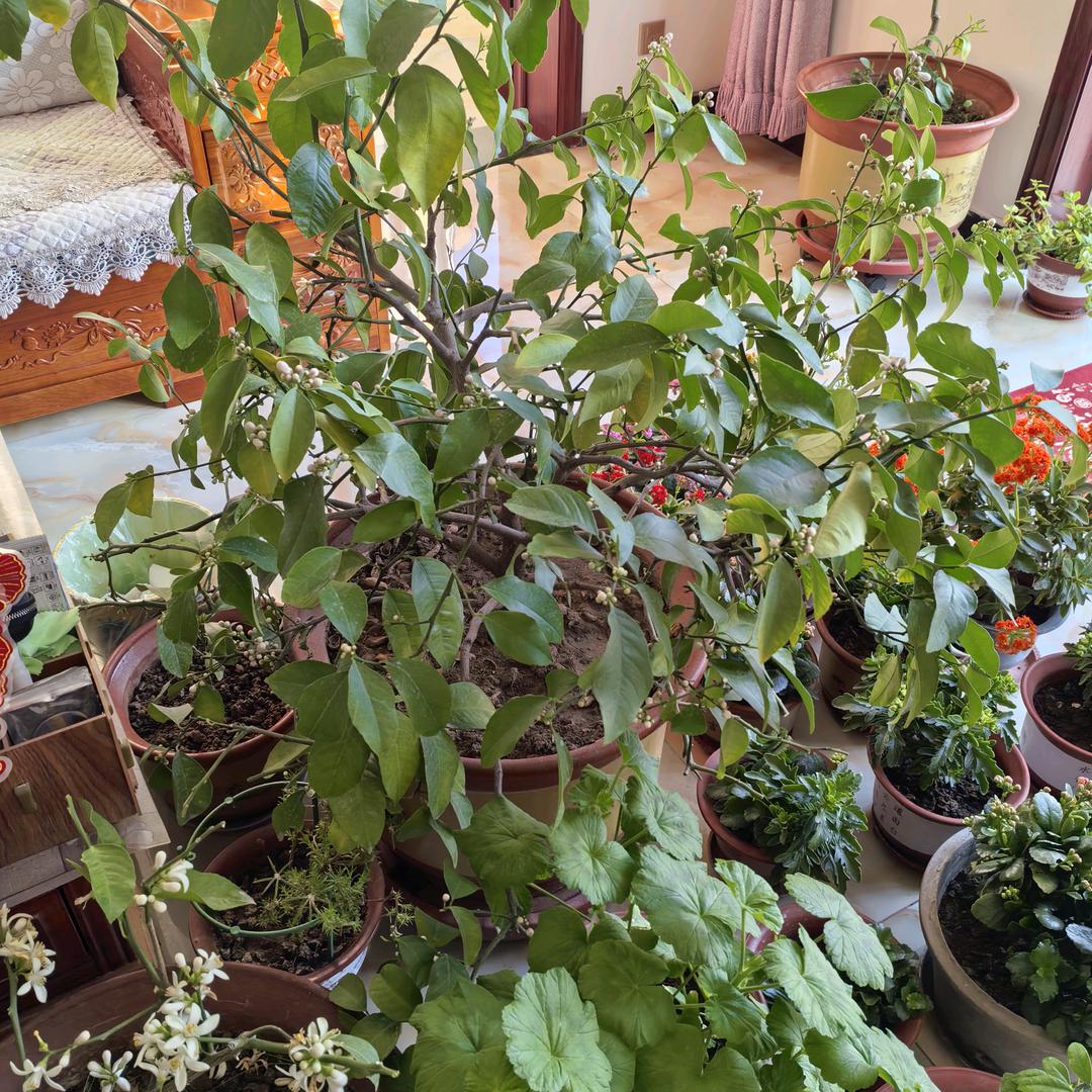 茶余饭后