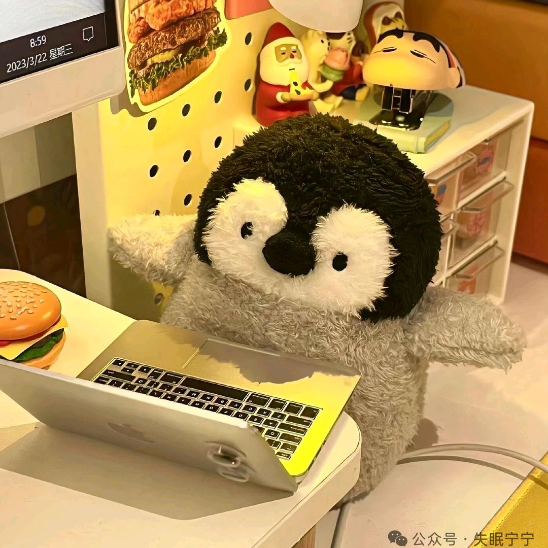 豆豆*