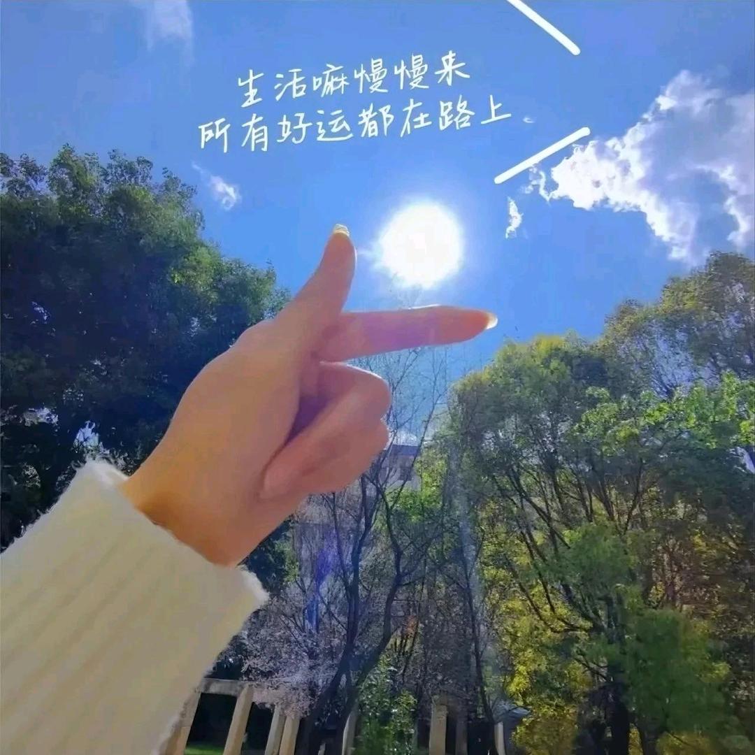 小皱菊