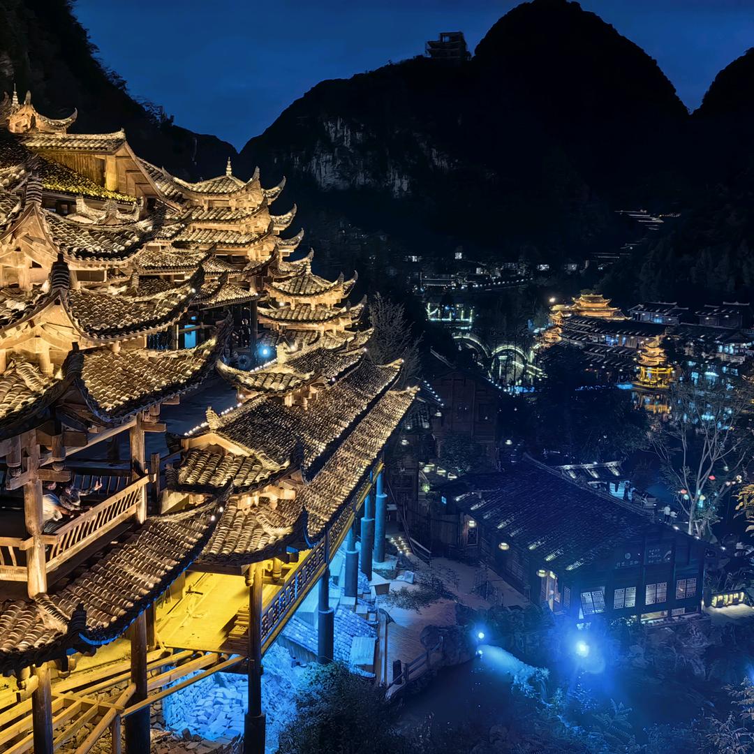 云南大型肉鸽合作基地