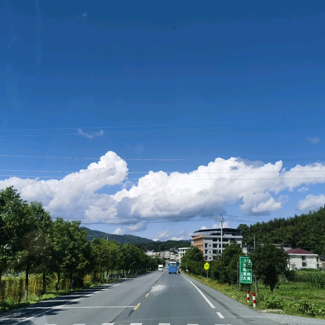 重生之我在城乡开宝宝巴士