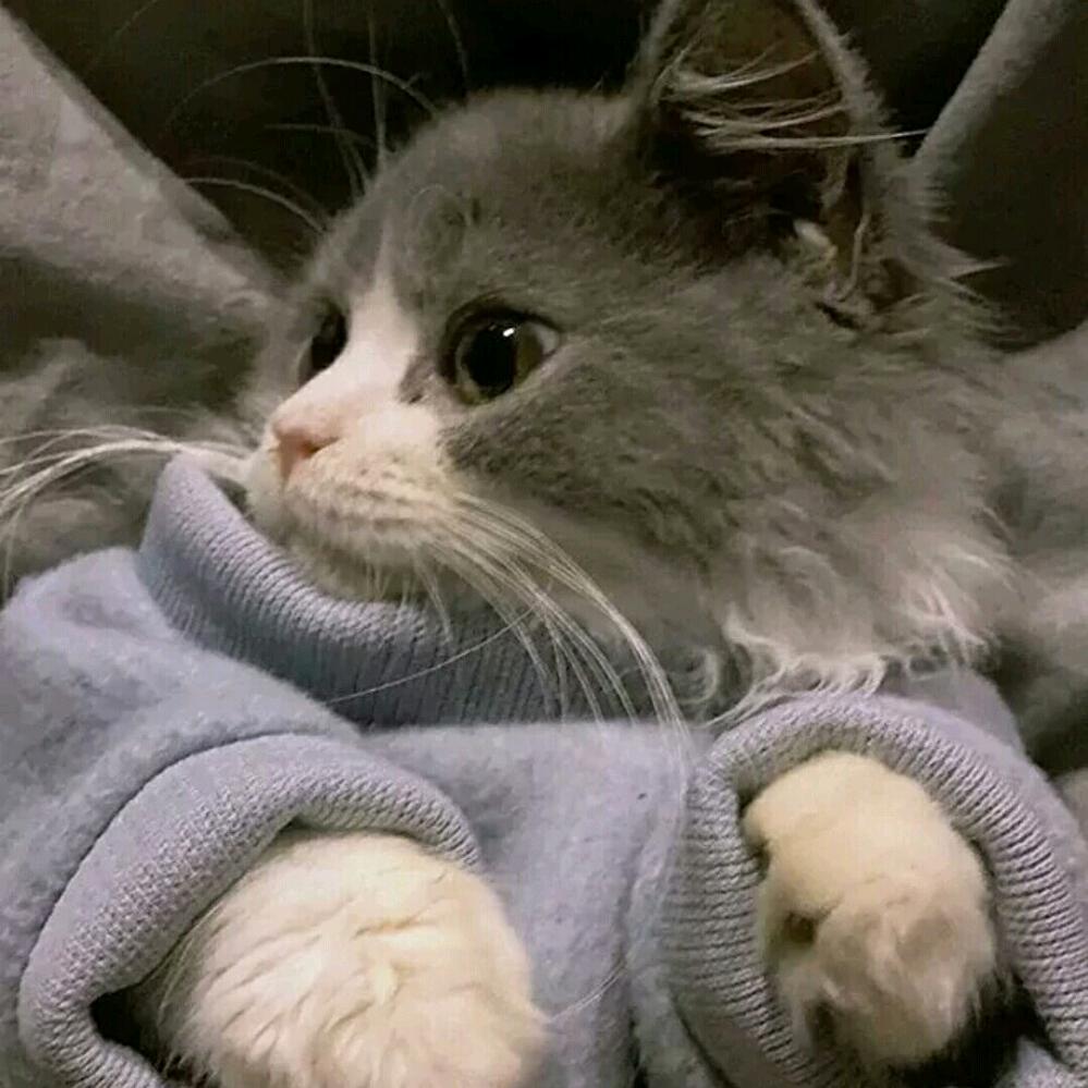 世司