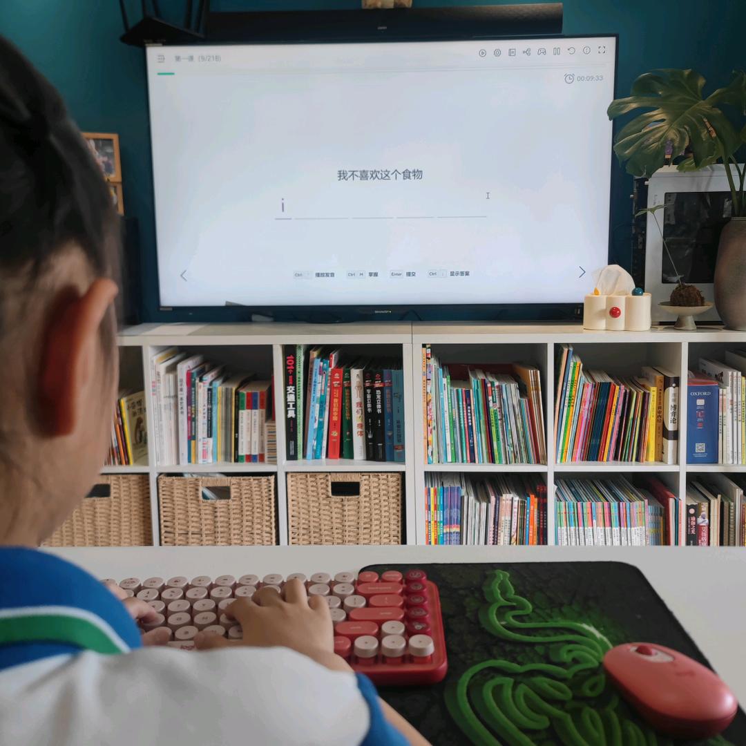 Lily的鼠鼠们