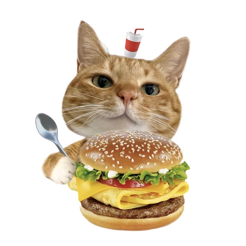 汉堡宝🍔